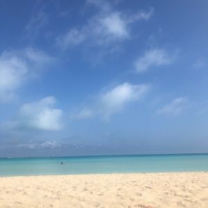 Meet your Posher, Lydia